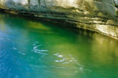 2017-10-31_53_Tauglgries_2699_RH