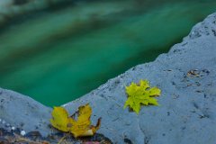 2017-10-31_55_Tauglgries_2691_RH