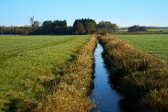 2017-10-17_011_Maisach_oestlich_Nassenhausen_WP