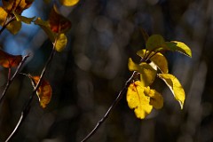 2017-12-07_010_Impressionen_Dezember_WP