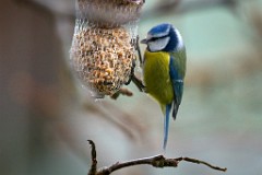 2017-12-09_013_Impressionen_Dezember_WP