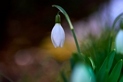 2018-01-26_002_Impressionen_Januar_WP