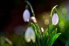 2018-01-26_003_Impressionen_Januar_WP