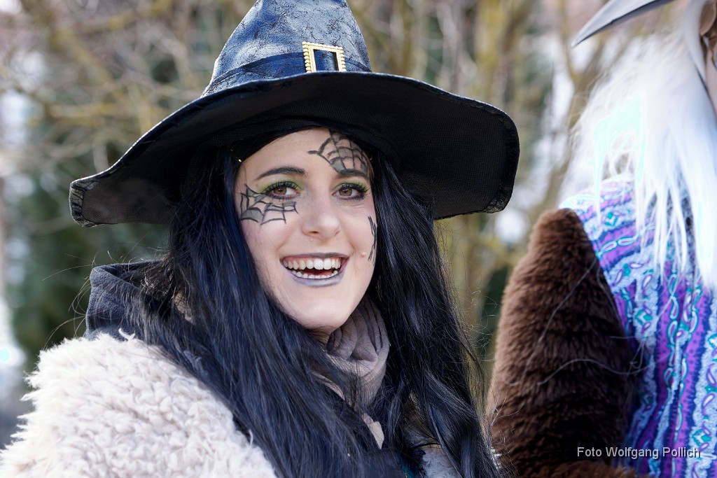 2018-02-13_001_Faschingszug_WP.jpg -                                