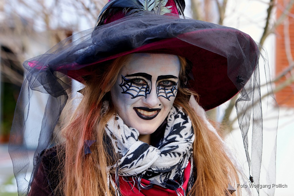 2018-02-13_005_Faschingszug_WP.jpg -                                