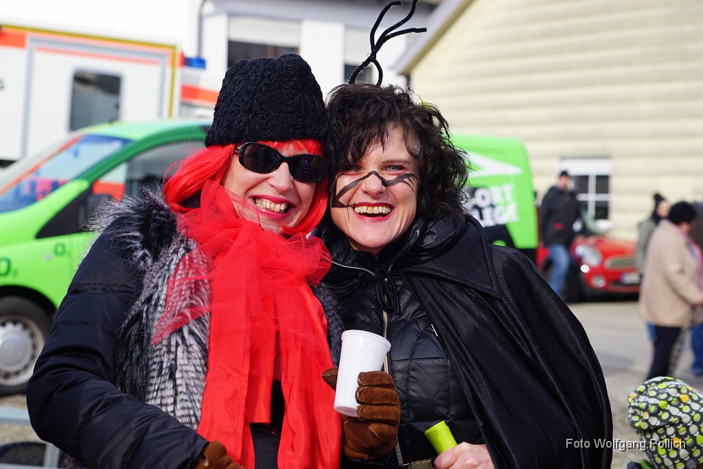 2018-02-13_029_Faschingszug_WP.JPG