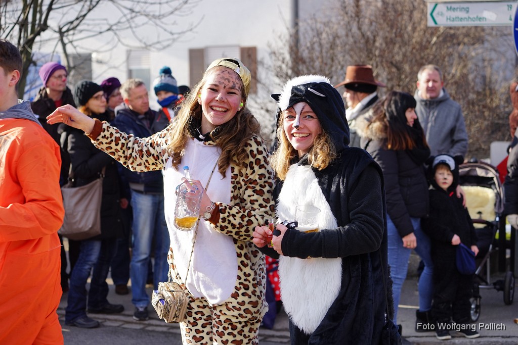 2018-02-13_114_Faschingszug_WP.JPG