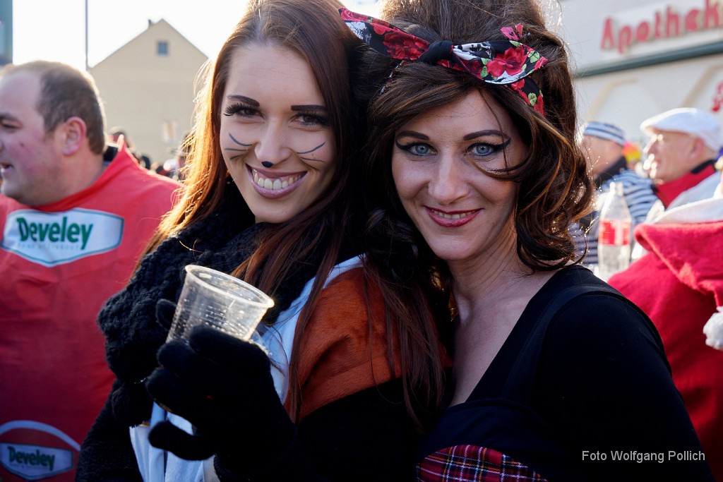 2018-02-13_133_Faschingszug_WP.jpg -                                