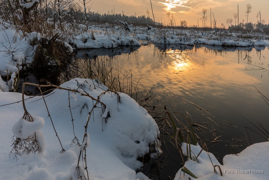 2018-02-28_018_Rotes_Moos_2686_RH.jpg