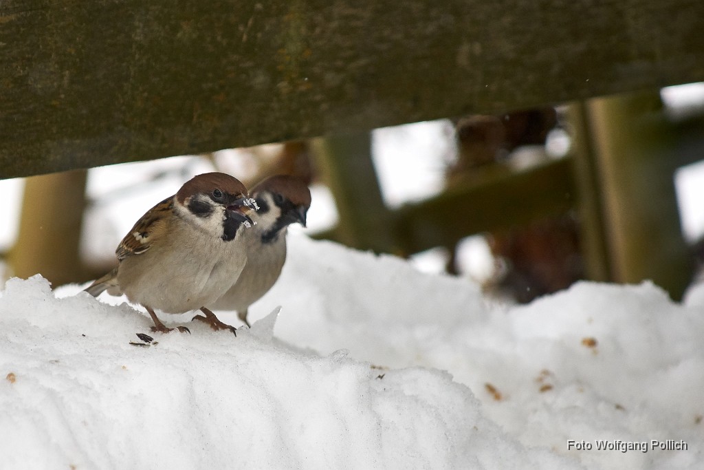 2018-02-22_003_Impressionen_Februar_WP.jpg -                                