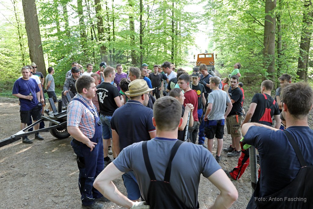 2018-04-29_10_Maibaum_holen_TF.JPG
