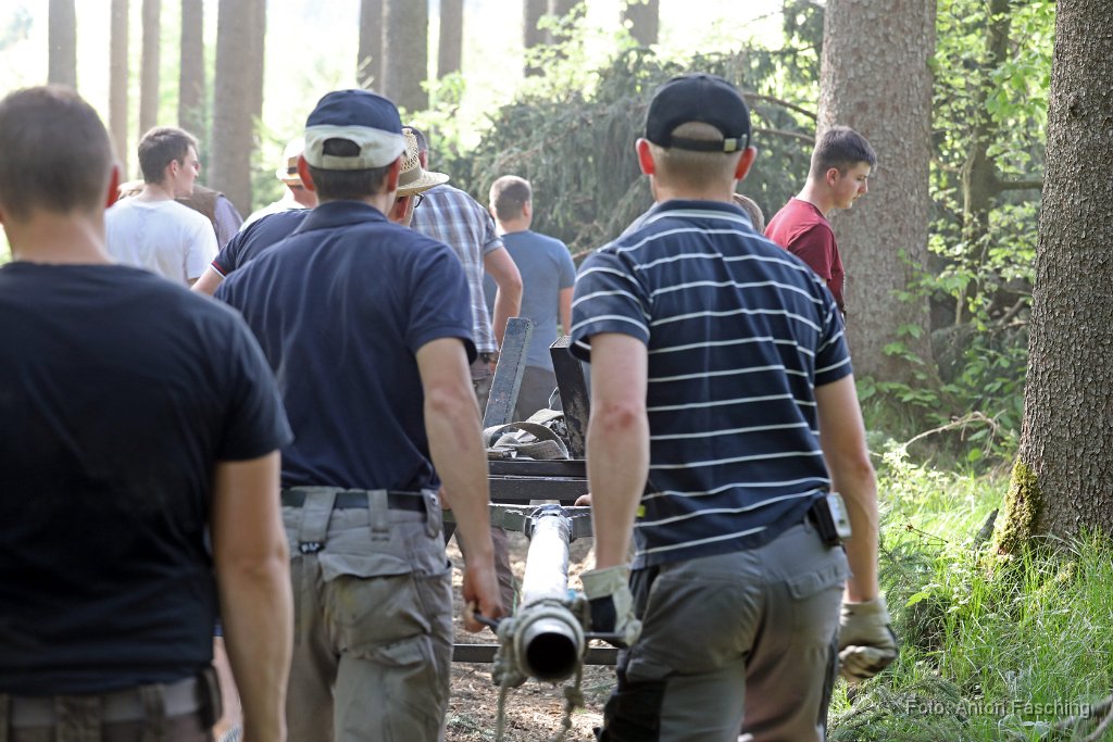 2018-04-29_11_Maibaum_holen_TF.JPG