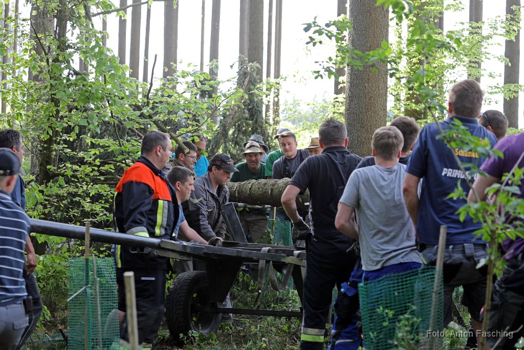 2018-04-29_17_Maibaum_holen_TF.JPG