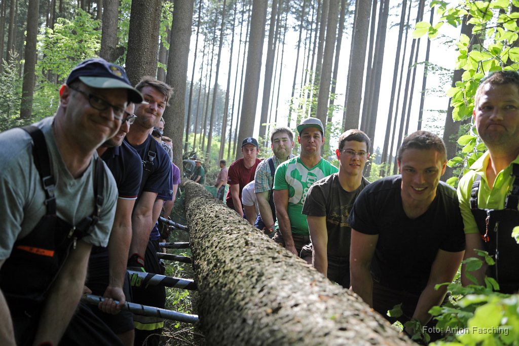 2018-04-29_18_Maibaum_holen_TF.JPG