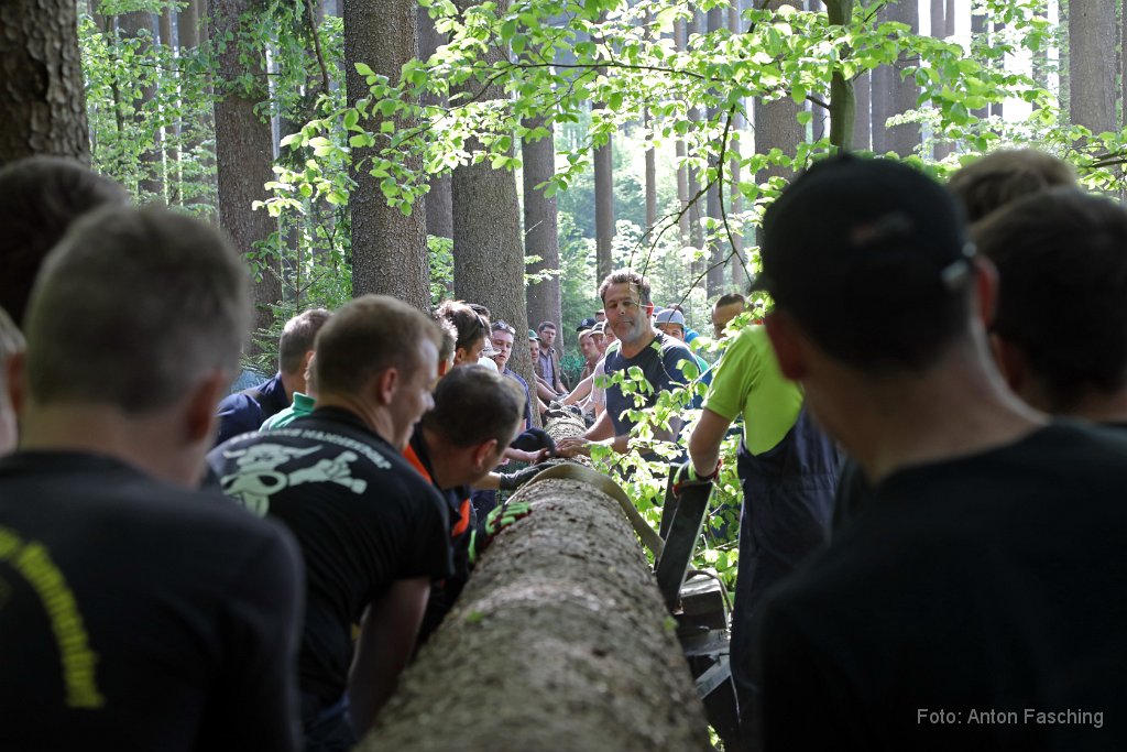 2018-04-29_24_Maibaum_holen_TF.JPG