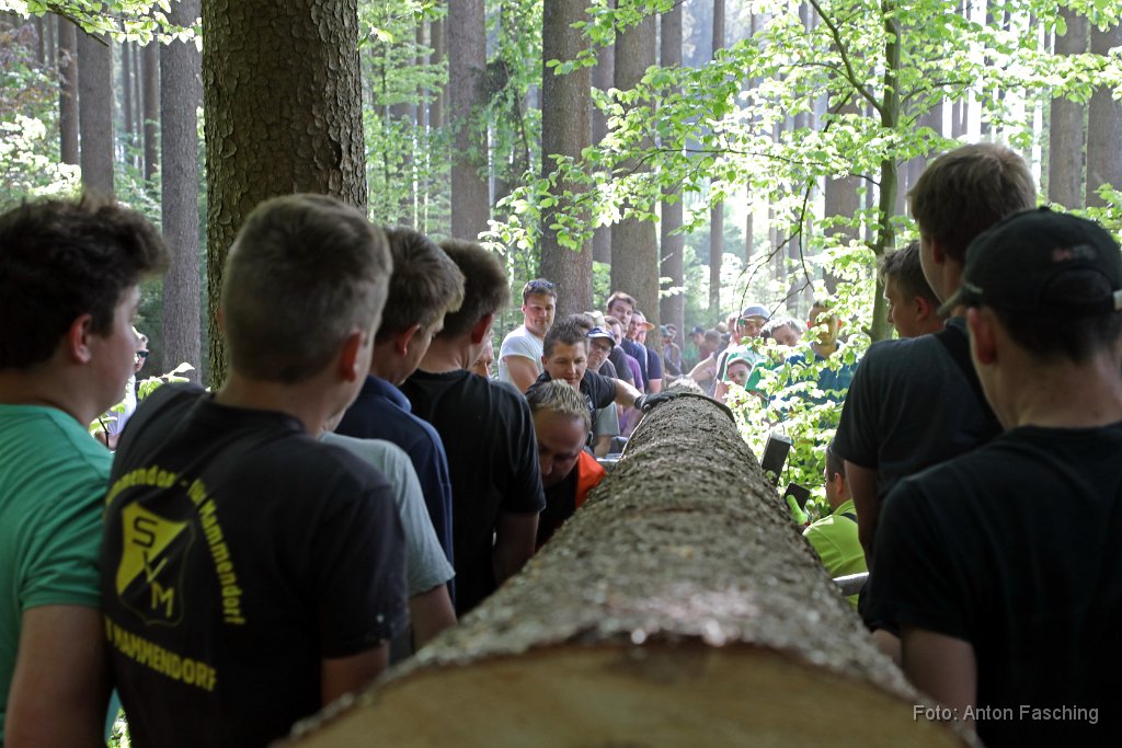 2018-04-29_25_Maibaum_holen_TF.JPG