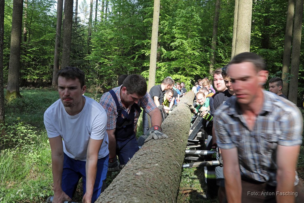 2018-04-29_32_Maibaum_holen_TF.JPG