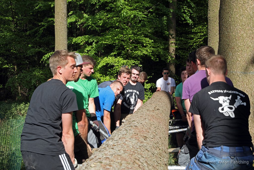 2018-04-29_34_Maibaum_holen_TF.JPG