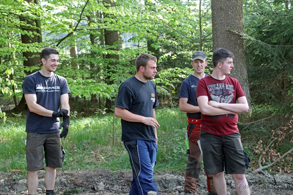 2018-04-29_35_Maibaum_holen_TF.JPG