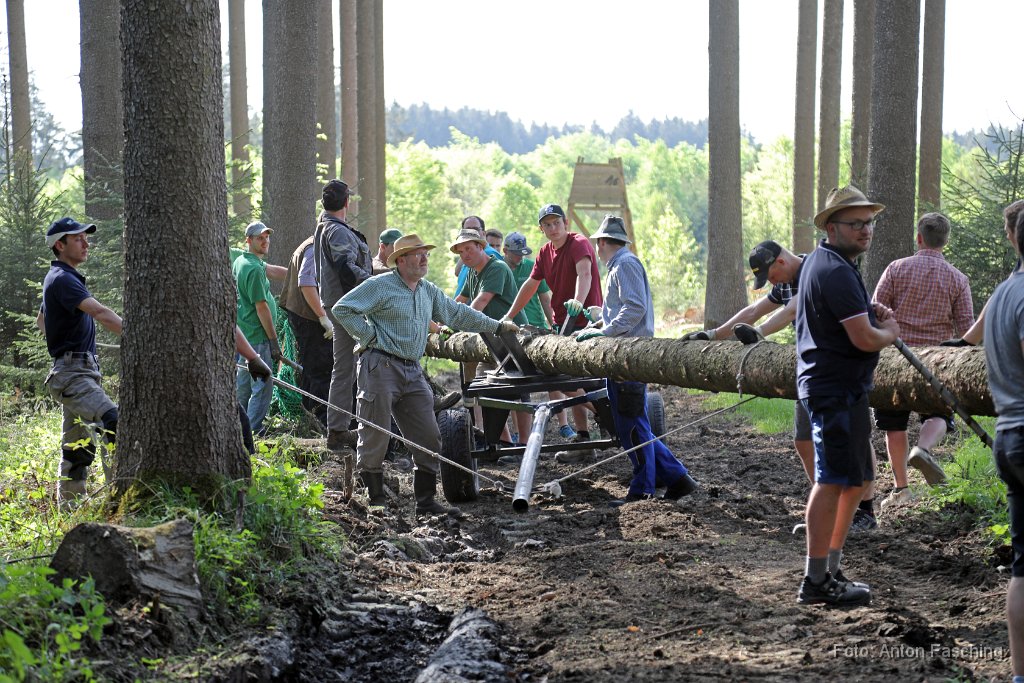 2018-04-29_36_Maibaum_holen_TF.JPG