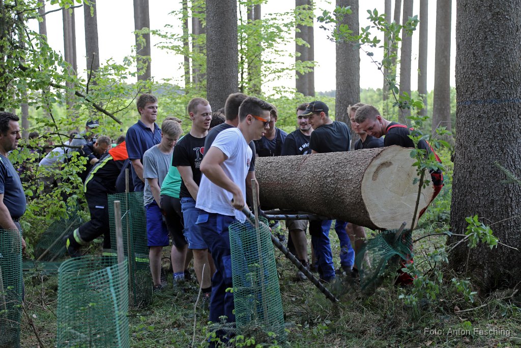 2018-04-29_37_Maibaum_holen_TF.JPG