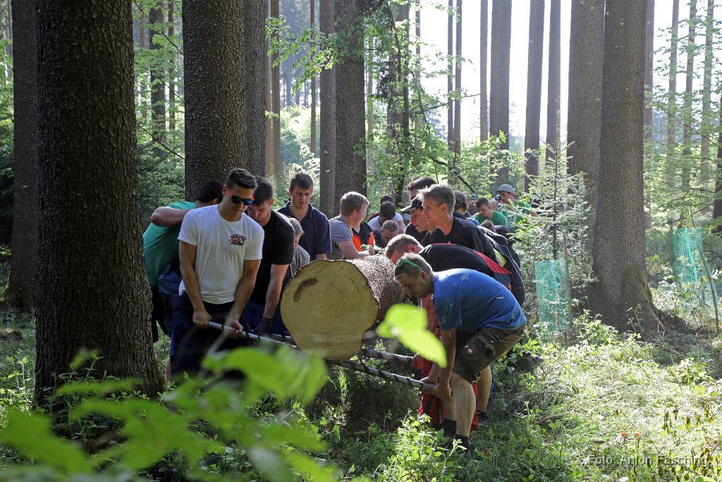 2018-04-29_39_Maibaum_holen_TF.JPG