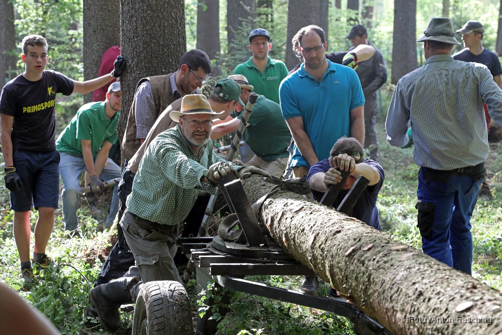 2018-04-29_44_Maibaum_holen_TF.JPG