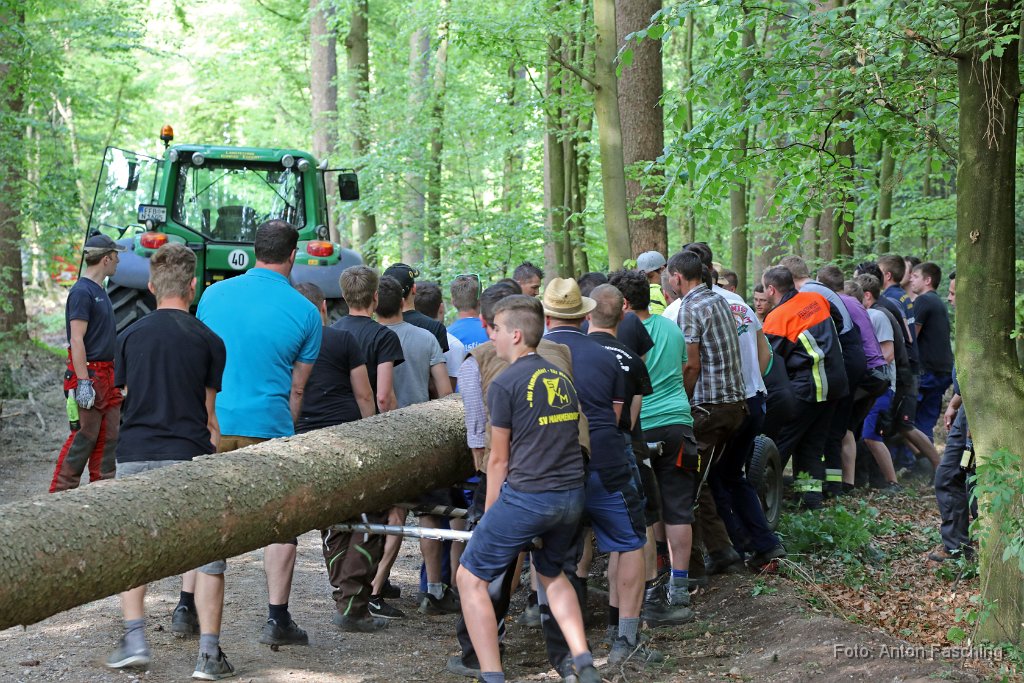 2018-04-29_46_Maibaum_holen_TF.JPG
