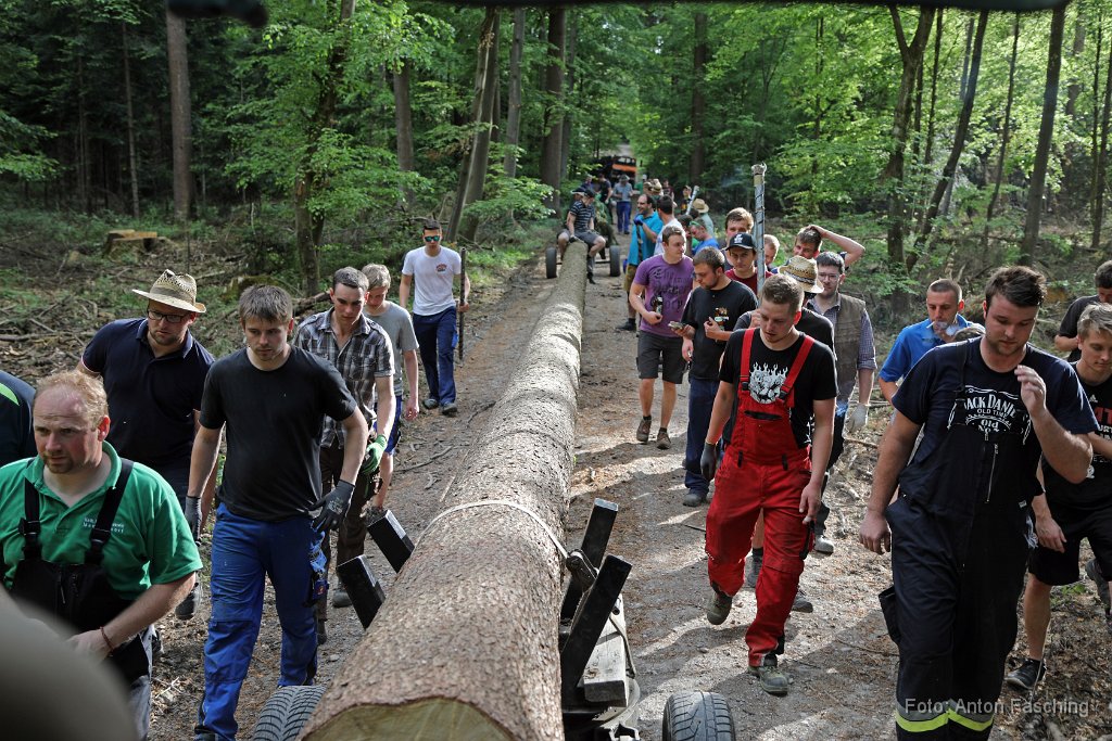 2018-04-29_47_Maibaum_holen_TF.JPG
