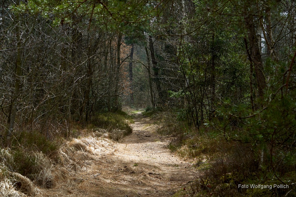 2018-04-09_014_Haspelmoor_WP.jpg -                                