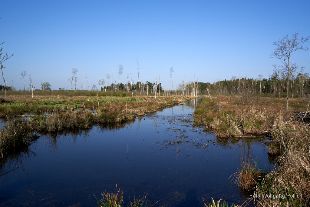 2018-04-17_020_Rotes-Moos_WP.jpg -                                