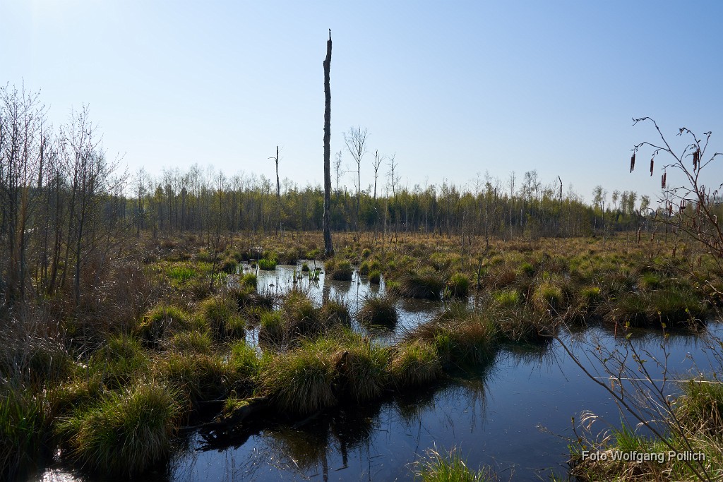 2018-04-17_021_Rotes-Moos_WP.jpg -                                