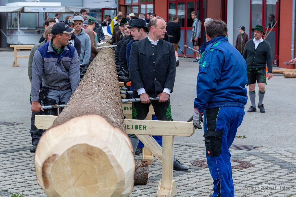 2018-05-01_001_Maibaum_7039_RH.jpg