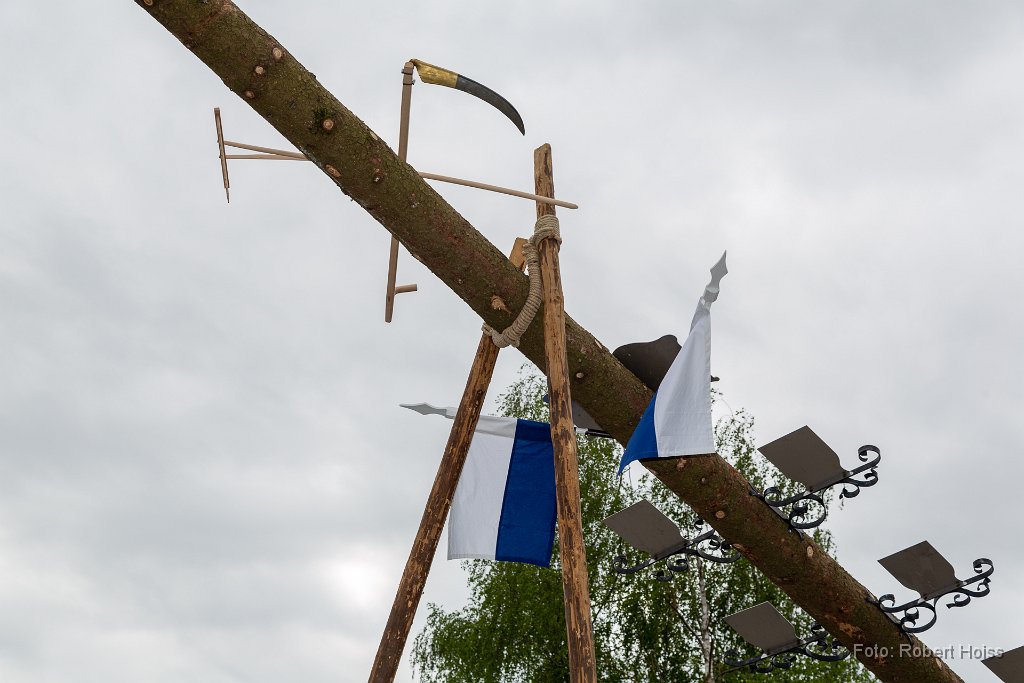 2018-05-01_021_Maibaum_7091_RH.jpg
