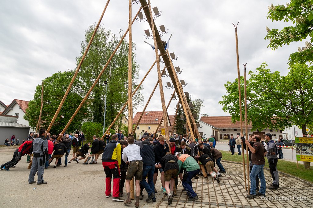 2018-05-01_038_Maibaum_7122_RH.jpg