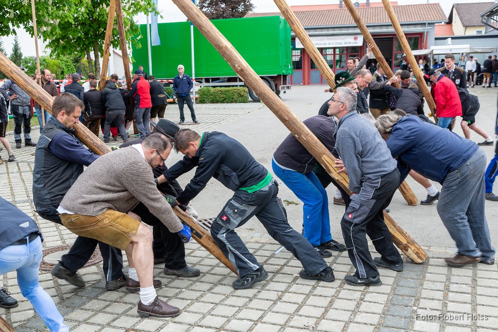 2018-05-01_041_Maibaum_7126_RH.jpg