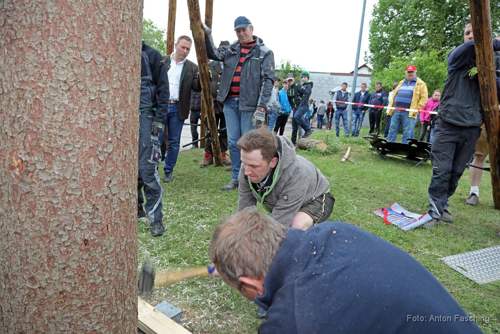 2018-05-01_44_Maibaum_aufstellen_TF.JPG