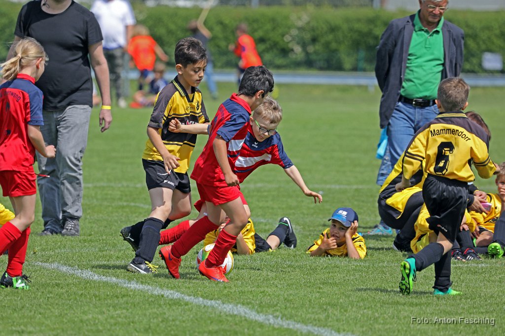 2018-05-19_009_51-Jugendpfingstturnier_TF.JPG