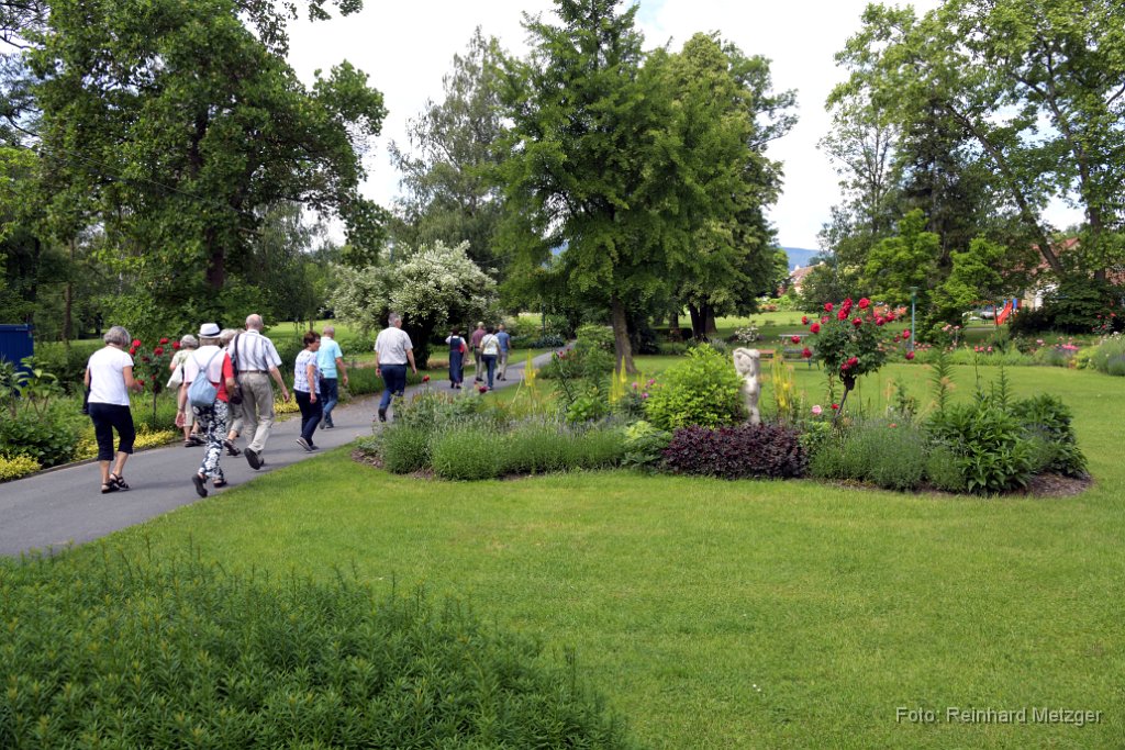 2018-06-03_061_Poellau_Naturpark_RM.jpg