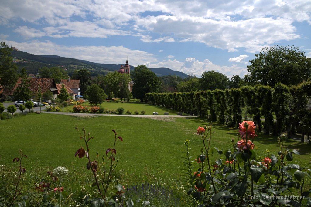 2018-06-03_064_Poellau_Naturpark_RM.jpg