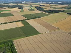 2011-08-02_02_Freizeitpark-Mammendorf_TF