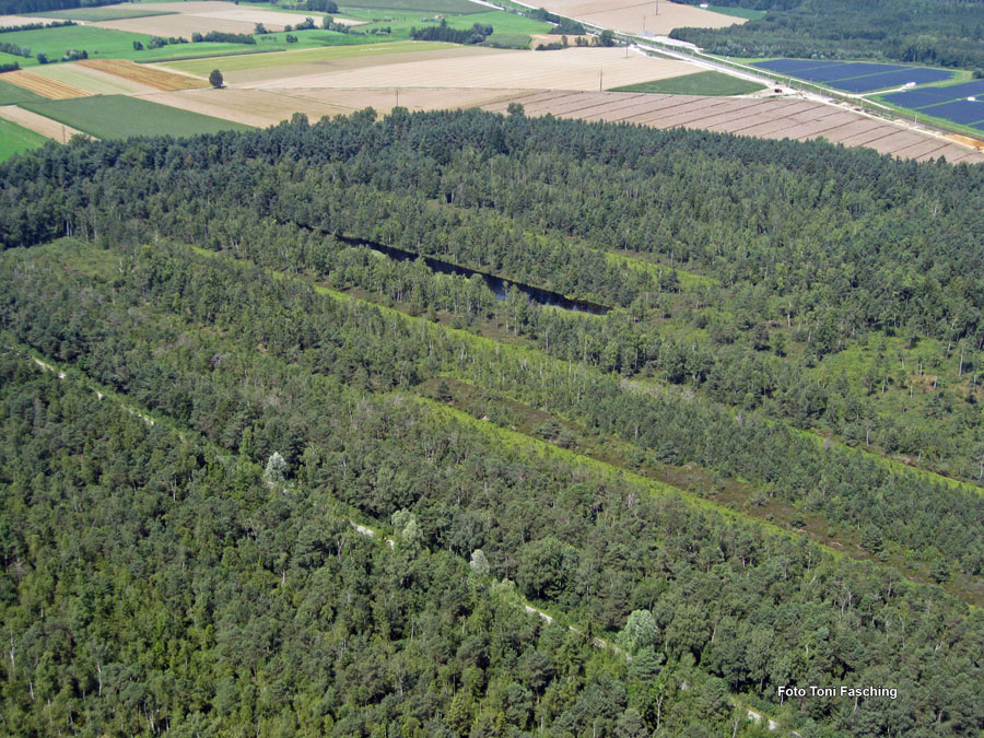 2009-08-07_019_Luftaufnahmen_Haspelmoor