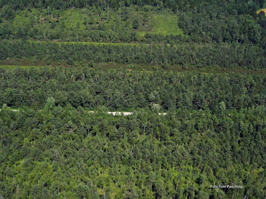 2009-08-07_020_Luftaufnahmen_Haspelmoor