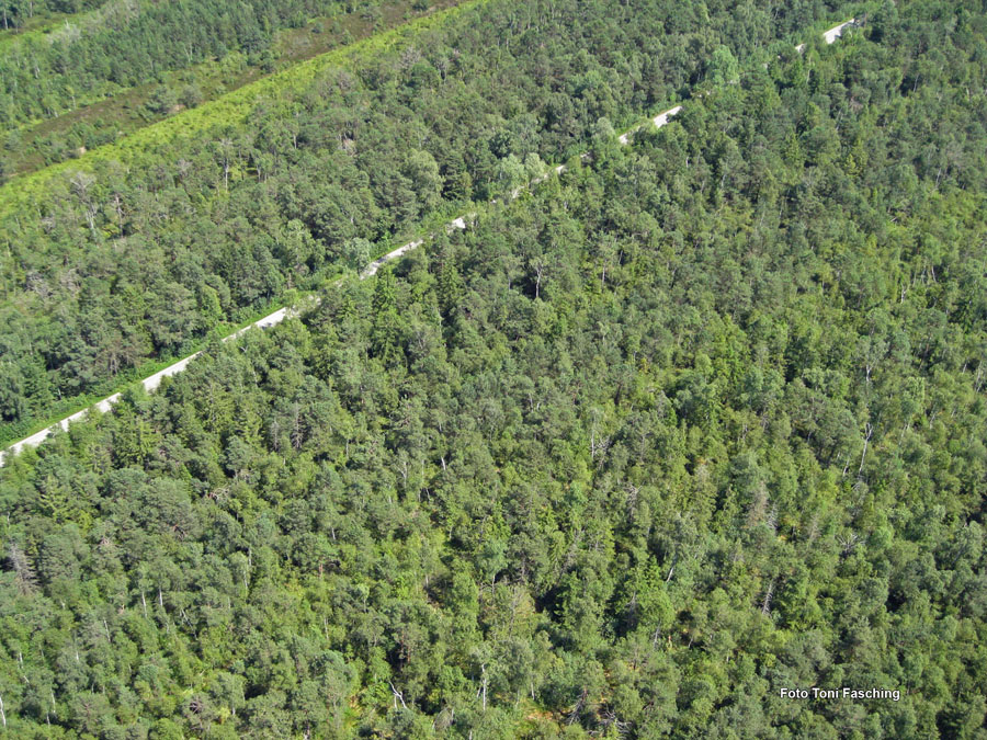 2009-08-07_021_Luftaufnahmen_Haspelmoor