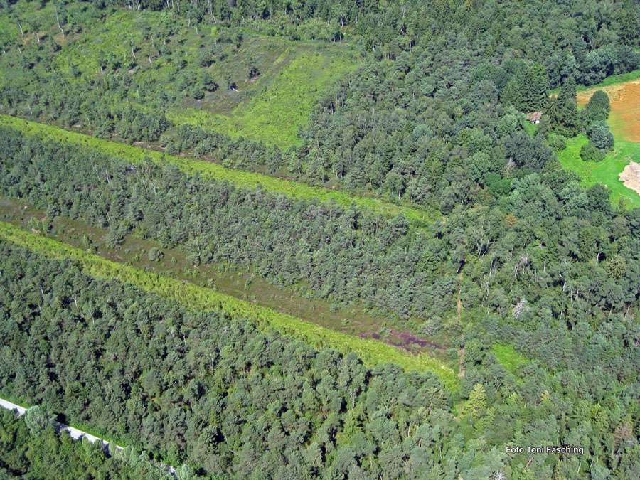 2009-08-07_026_Luftaufnahmen_Haspelmoor