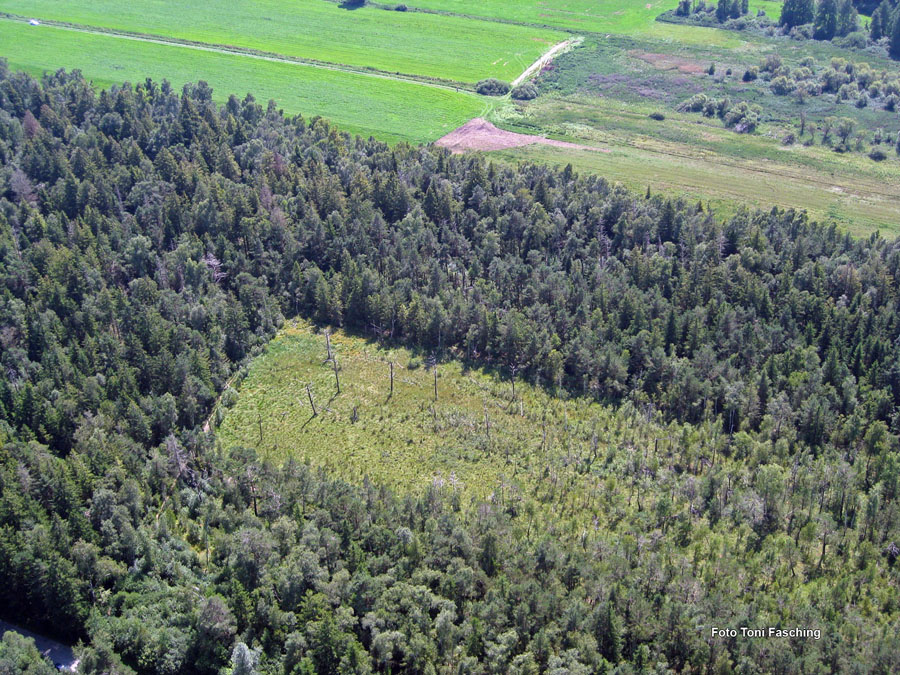 2009-08-07_027_Luftaufnahmen_Haspelmoor