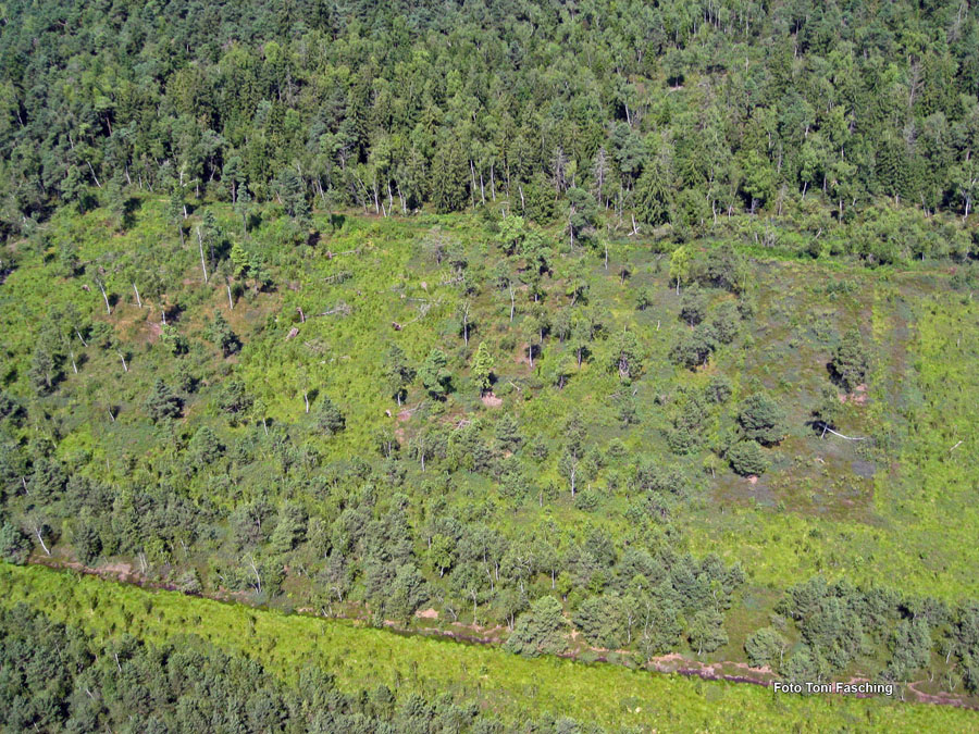 2009-08-07_029_Luftaufnahmen_Haspelmoor