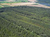 2009-08-07_019_Luftaufnahmen_Haspelmoor