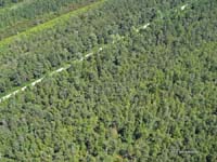 2009-08-07_021_Luftaufnahmen_Haspelmoor