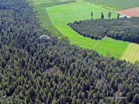 2009-08-07_023_Luftaufnahmen_Haspelmoor